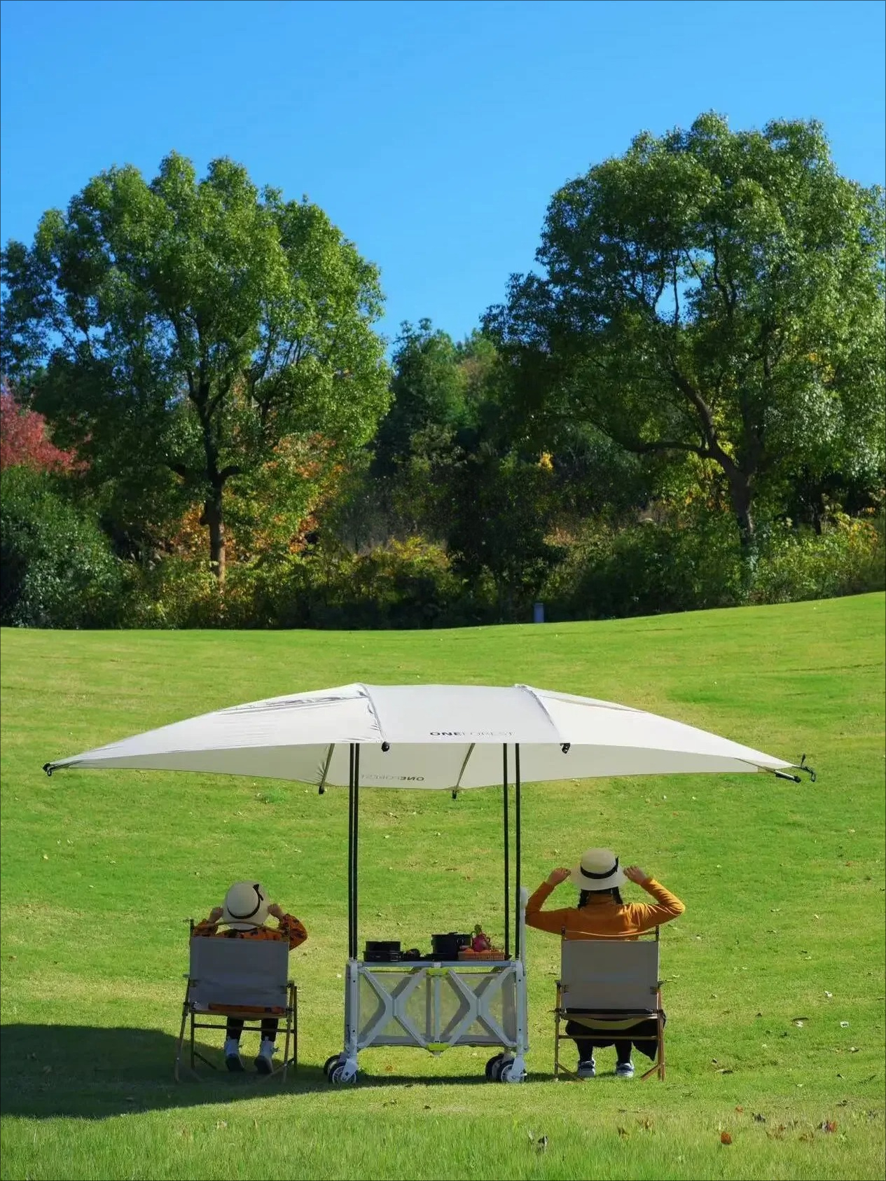 VIP Version Canopy Camper Camp - Outdoor Camping Trolley avis et prix
